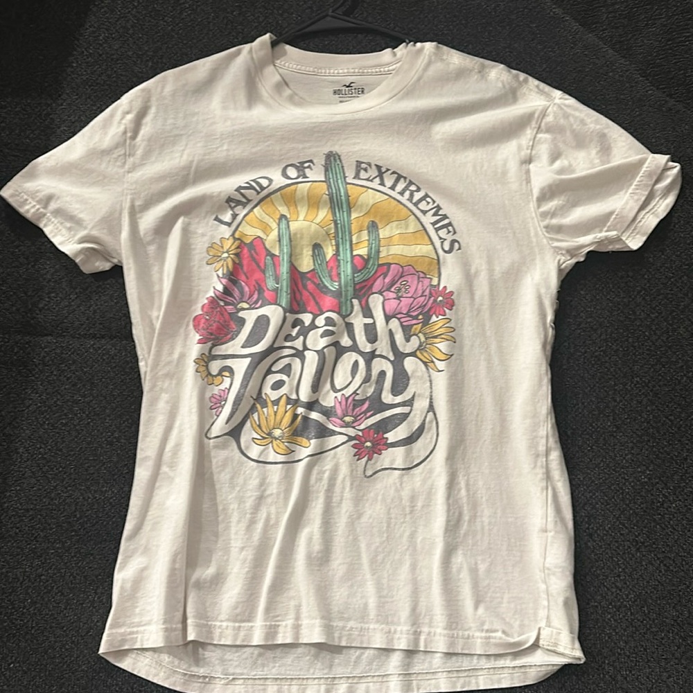 hollistee t shirt